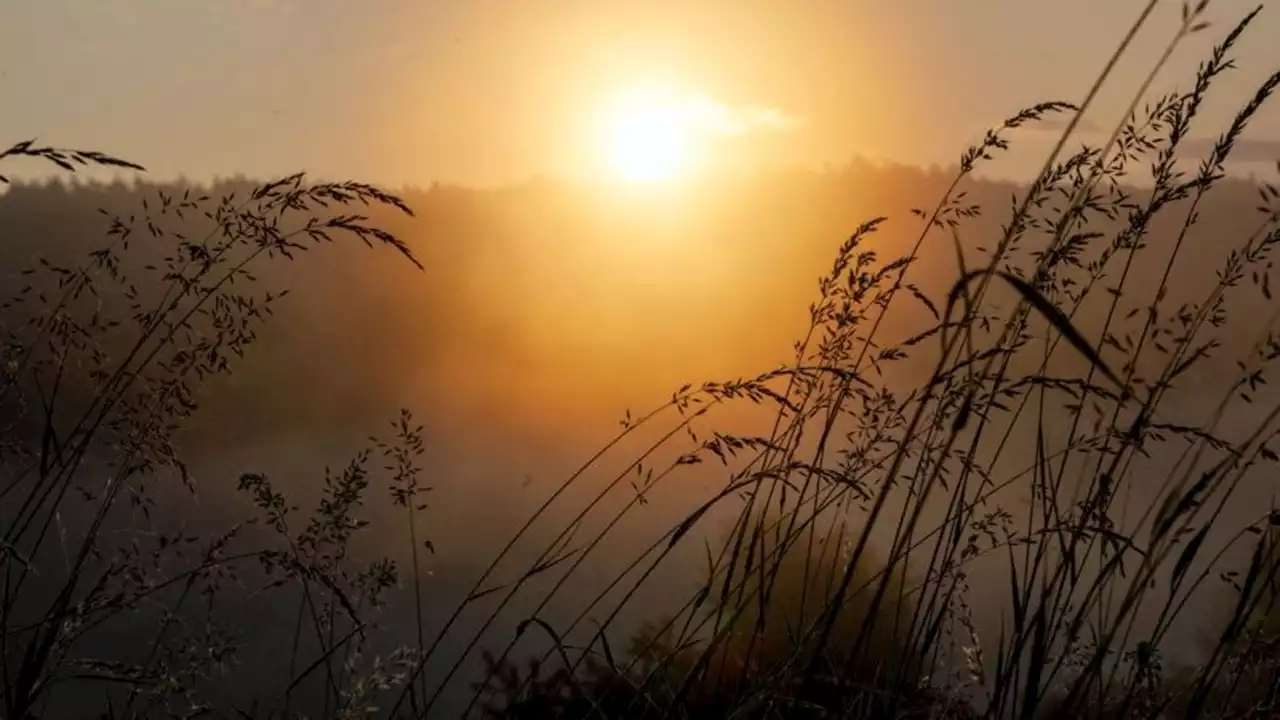 Nebel, Sonne und spätsommerliche Wärme in Bayern