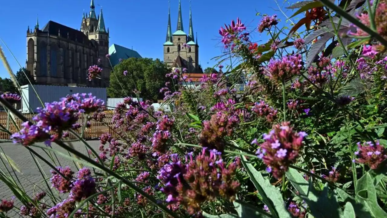 Sonnenschein in Thüringen bei milden Temperaturen