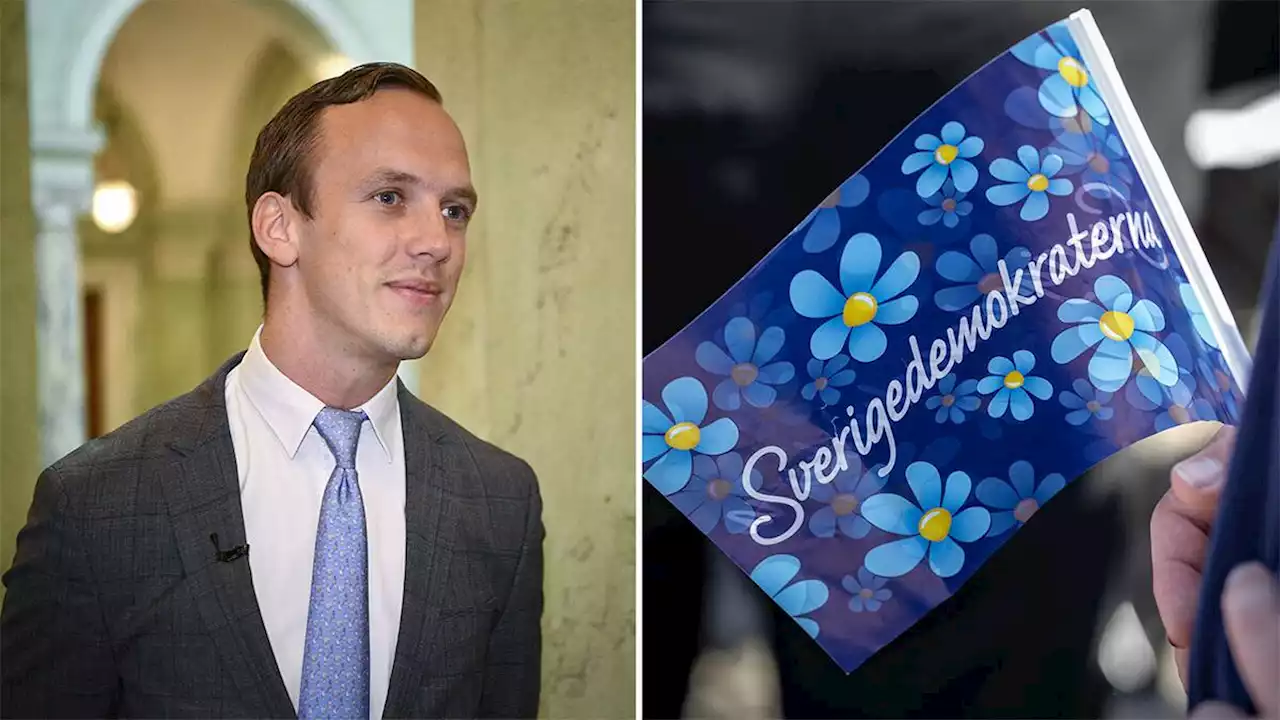 Sverigedemokraterna tog bort “Hejdå Hassan”-inlägg på X