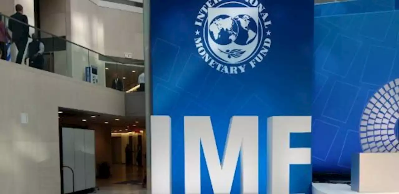 'Mobilise more domestic revenue’ -- IMF advises African countries on avoiding debt crisis