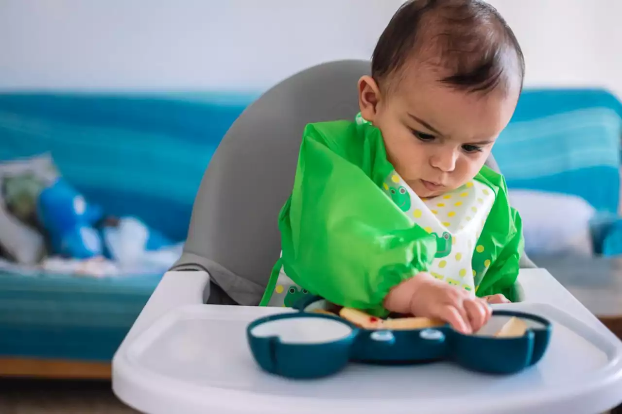 Parents should not put much stock in the health benefits of 'baby-led weaning'