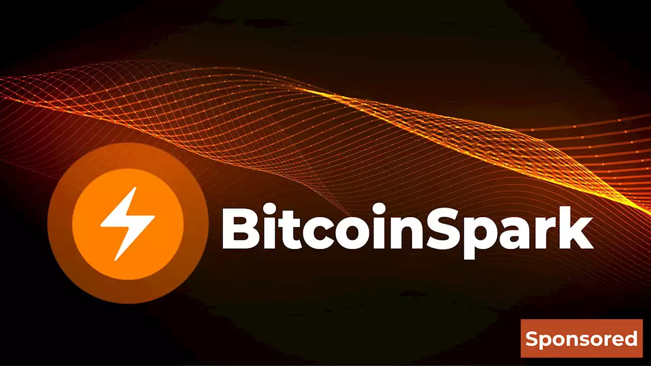 High Conversions Between Quant (QNT), Cardano (ADA), and Bitcoin Spark (BTCS) Communities Unveiled