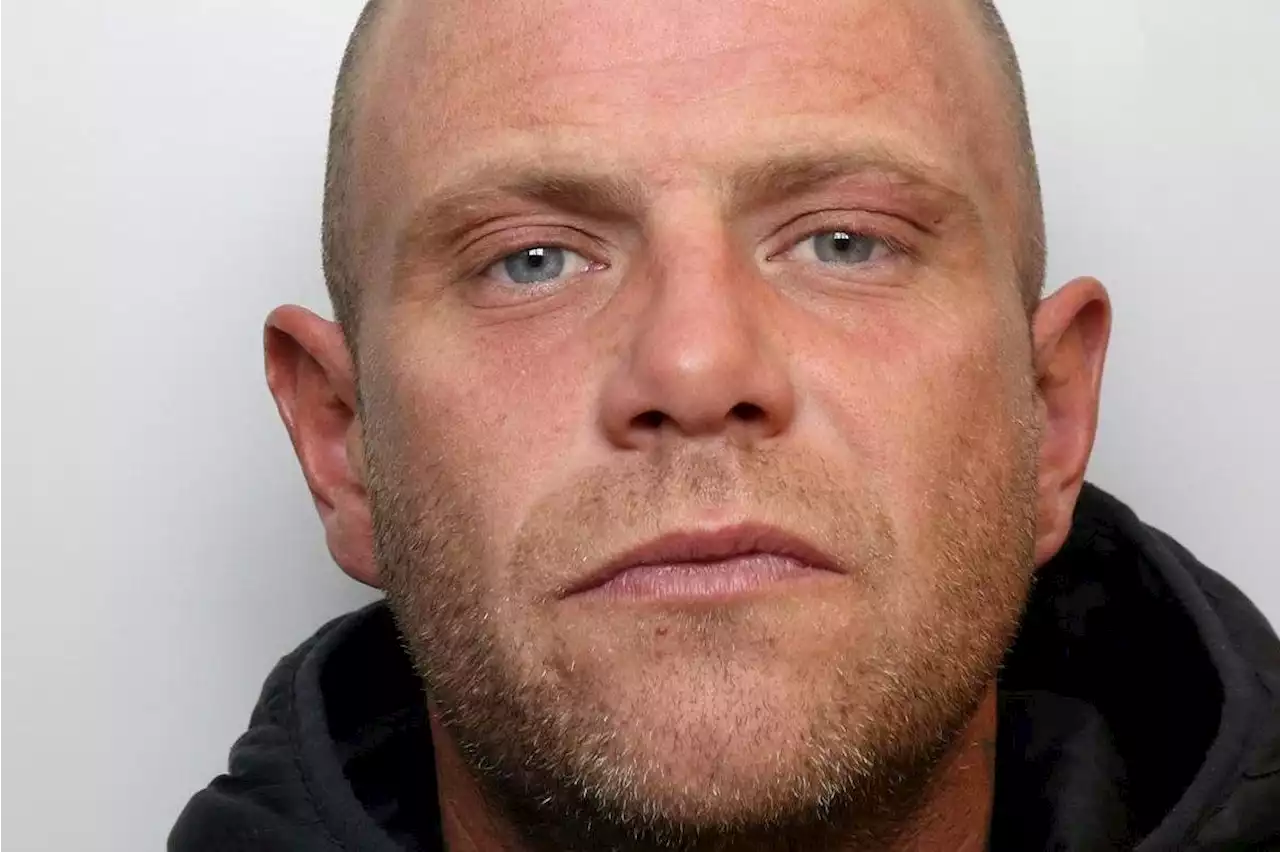 Yorkshire man jailed after stabbing, slashing and strangling horses in field