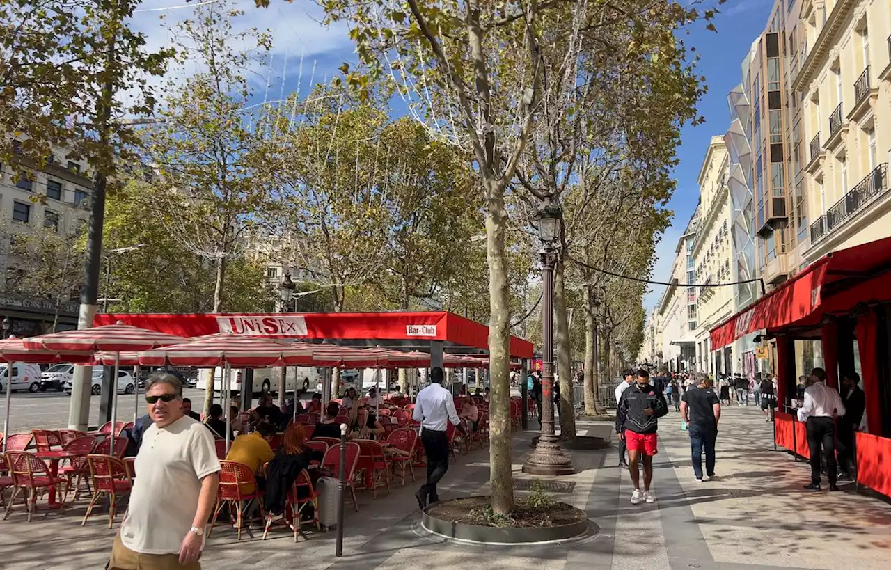 Les Champs-Elysées uniformisent leurs terrasses avant les JO 2024