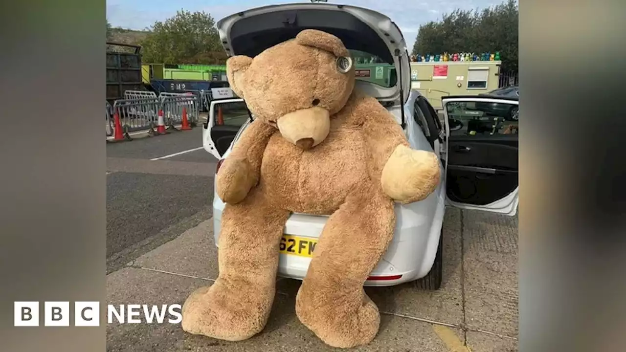 Huge teddy bear rescued from waste tip near Cambridge