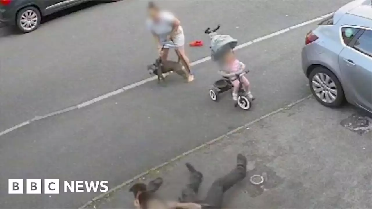 Woman shields child from 'dangerous' dog