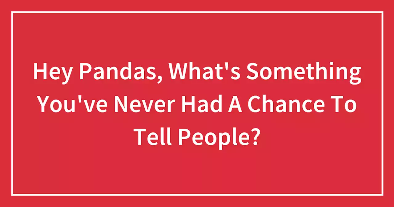 Hey Pandas, What’s Something You’ve Never Had A Chance To Tell People?