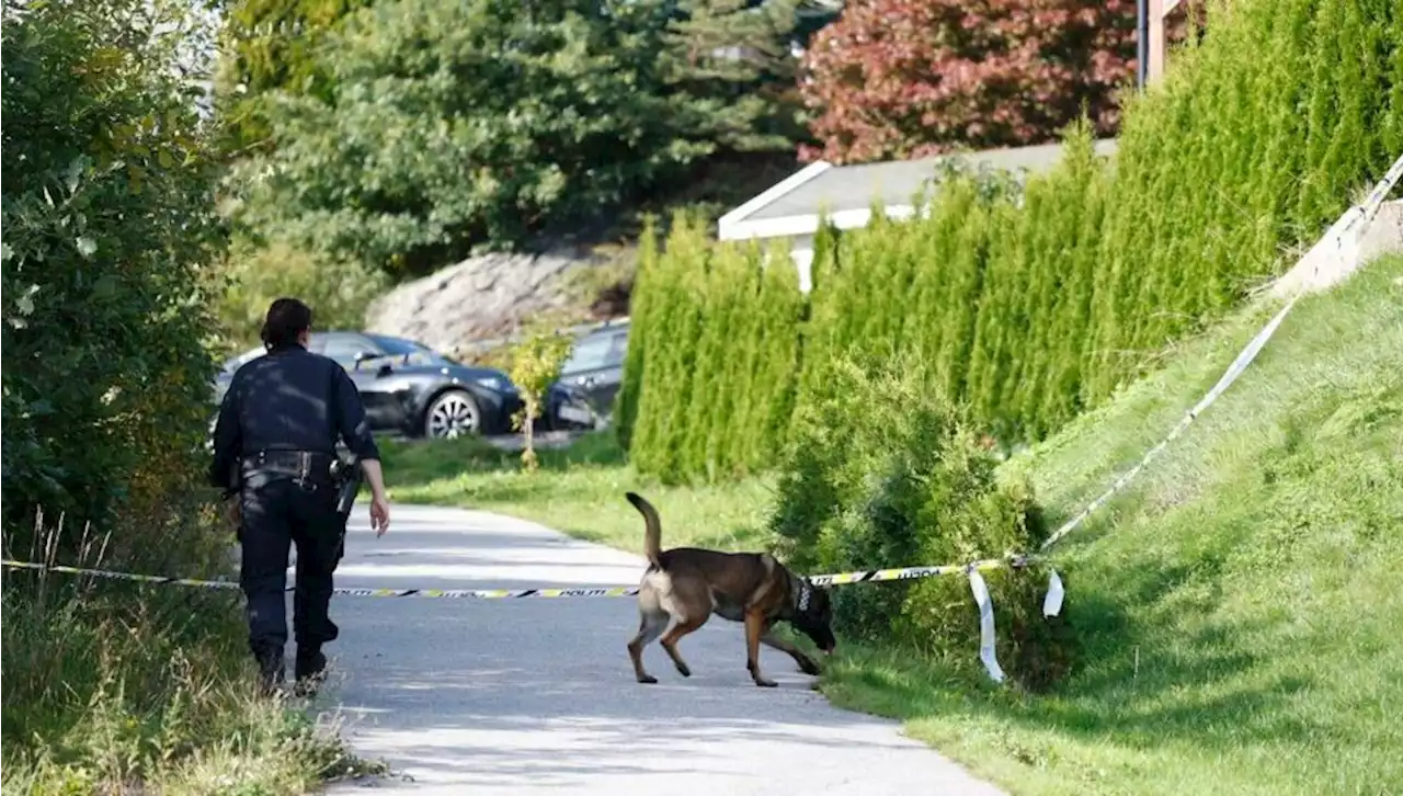 Norsk dobbeltdrab: Mor og otteårig datter fundet dræbt i Kristiansand