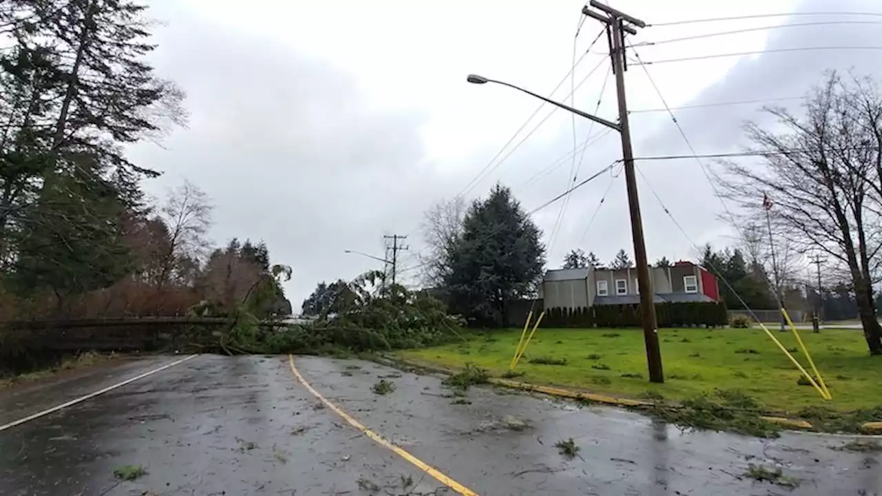 Will the B.C. storm cause more power outages in Metro Vancouver?