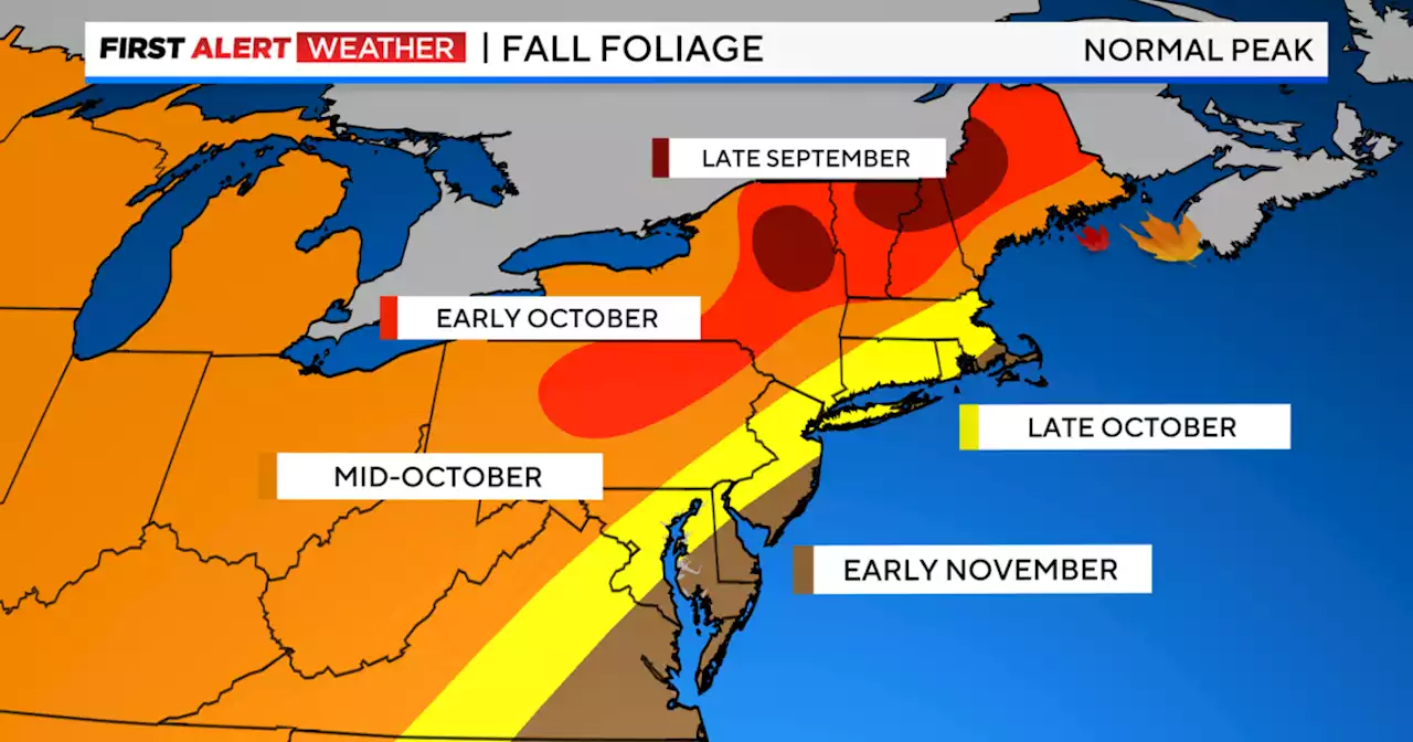 Where to see fall foliage near NYC in 2023