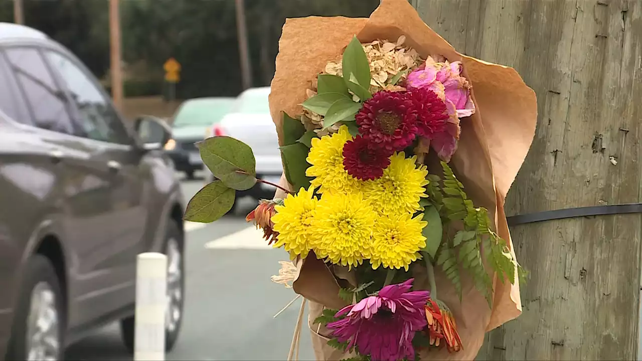 Driver sentenced in 2021 crash that killed 16-year-old Saanich boy