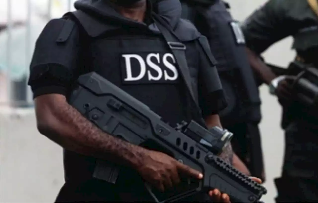 DSS establishes Directorate of Public Relations, names Peter Afunanya director
