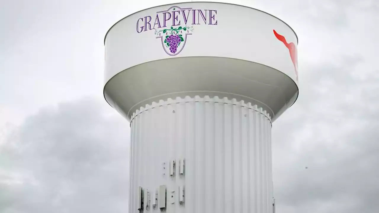 Skunk tests positive for rabies in Grapevine, police say