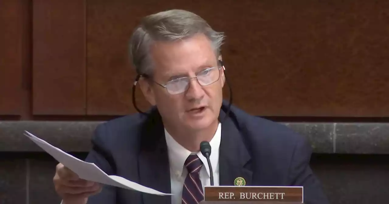 Burchett blasts State Department 'thugs' for funding alleged Palestinian terror-tied NGO