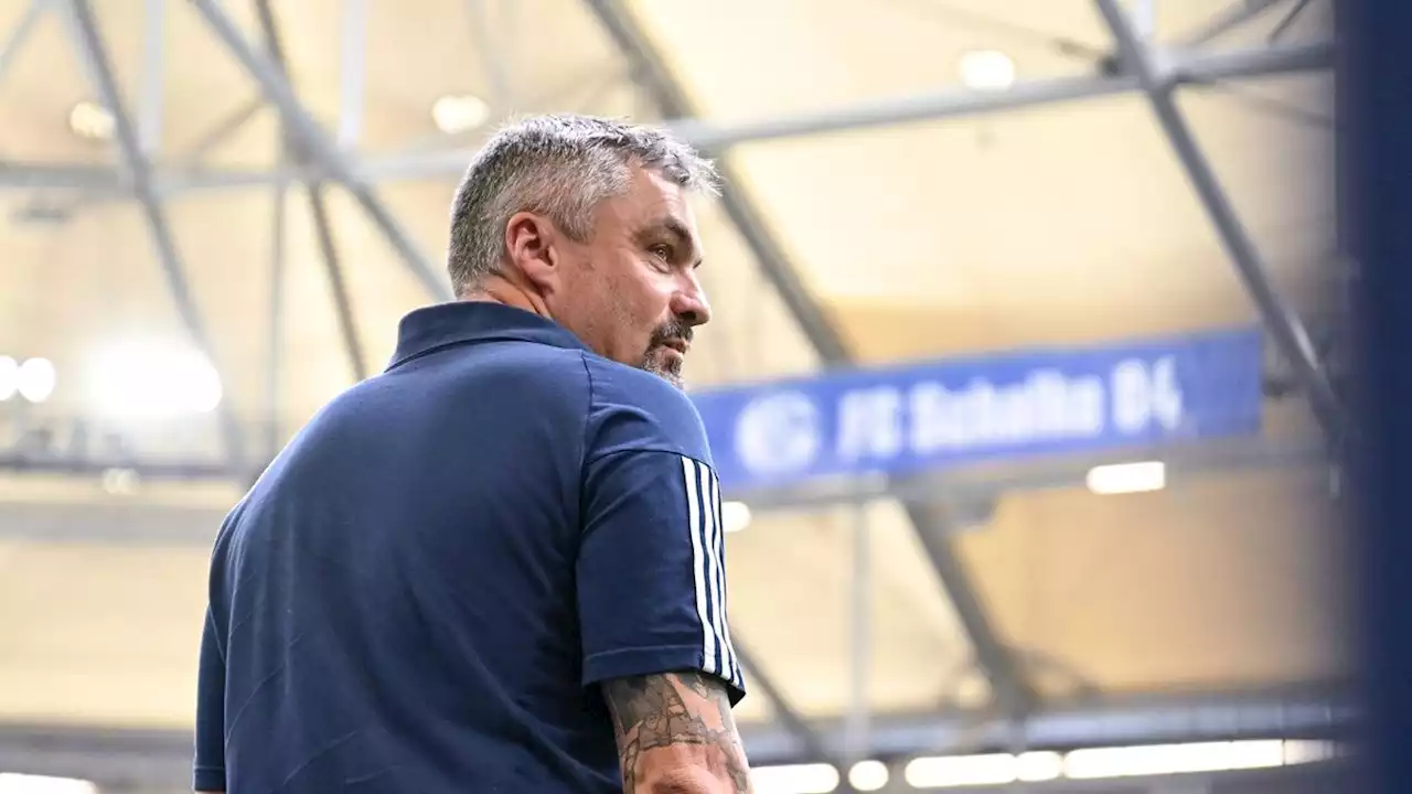 (S+) FC Schalke 04 beurlaubt Trainer Thomas Reis: Warum der Klub nicht zur Ruhe kommt