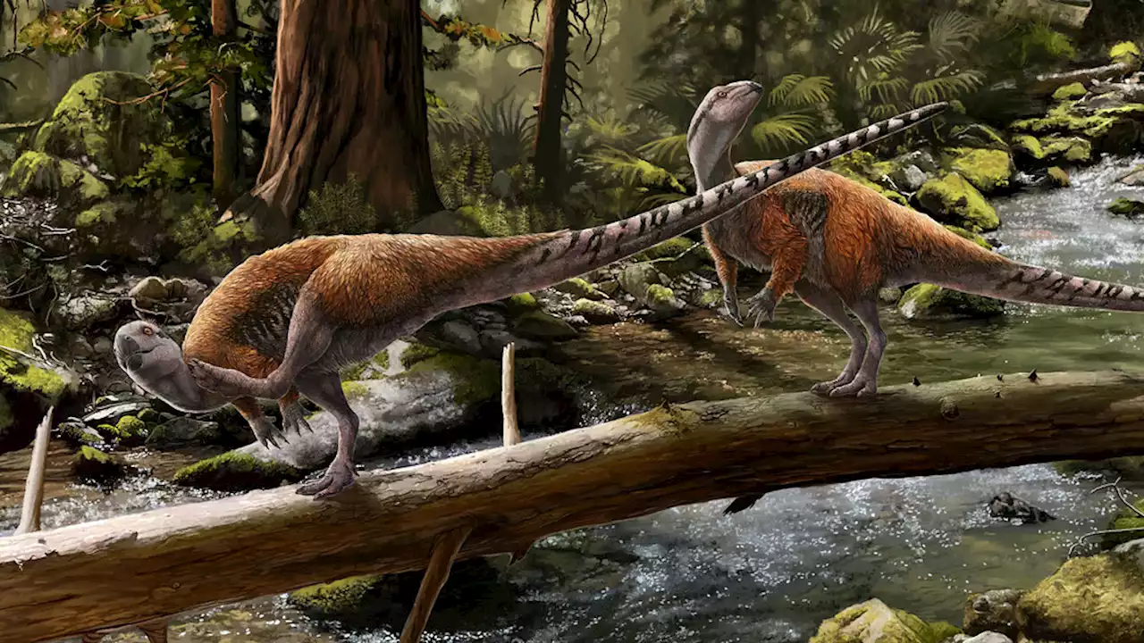 'Waste Basket' Dinosaur Family Now Holds New Dinosaurs Unique to Europe