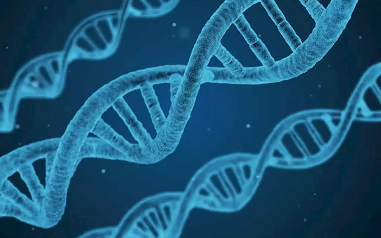 RNA recovered from extinct animal in world first