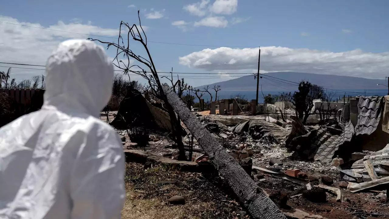 Lahaina family finds heirloom in rubble of their home on first visit after deadly wildfire