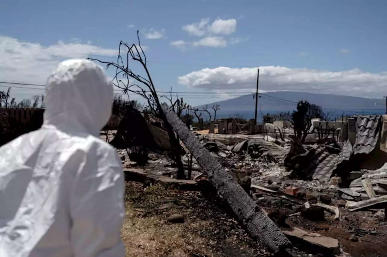 Lahaina family finds heirloom in rubble of their home on first visit after deadly wildfire