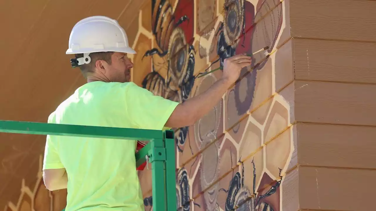 Why a world-renowned artist is painting a bee mural at Utah's Hogle Zoo