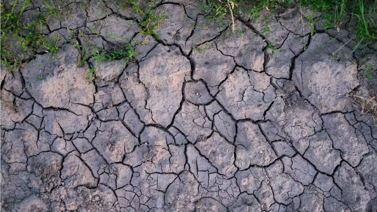 La ville d’Ardres reconnue en état de catastrophe naturelle pour la sécheresse de 2022