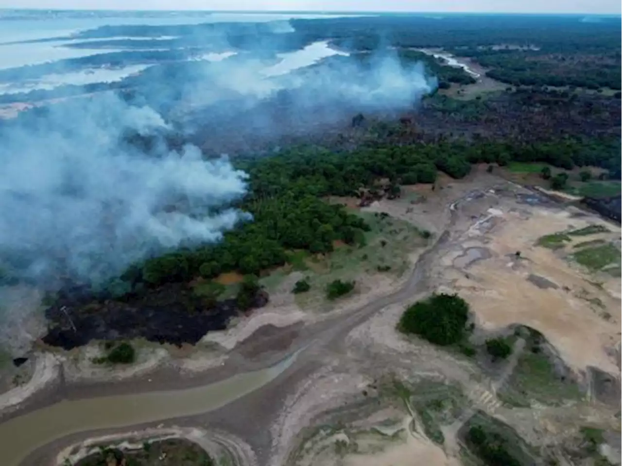 Hutan Amazon Dilanda Kekeringan Ekstrem, Brasil Umumkan Keadaan Darurat