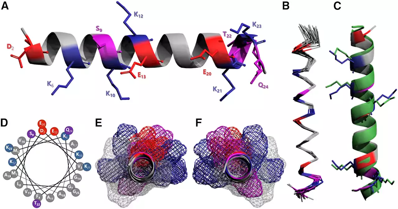 'Anti-tangle' molecule could aid search for new dementia treatments, say scientists