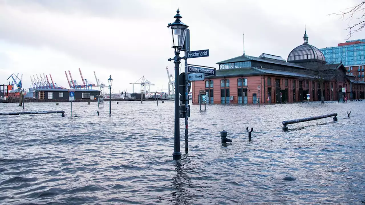 Extremwetterkongress startet heute in Hamburg