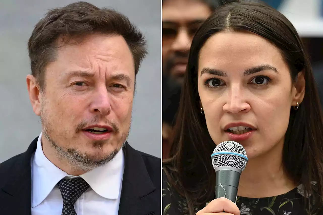 Elon Musk says AOC ‘not that smart’ after she compared migrant crisis to Ellis Island