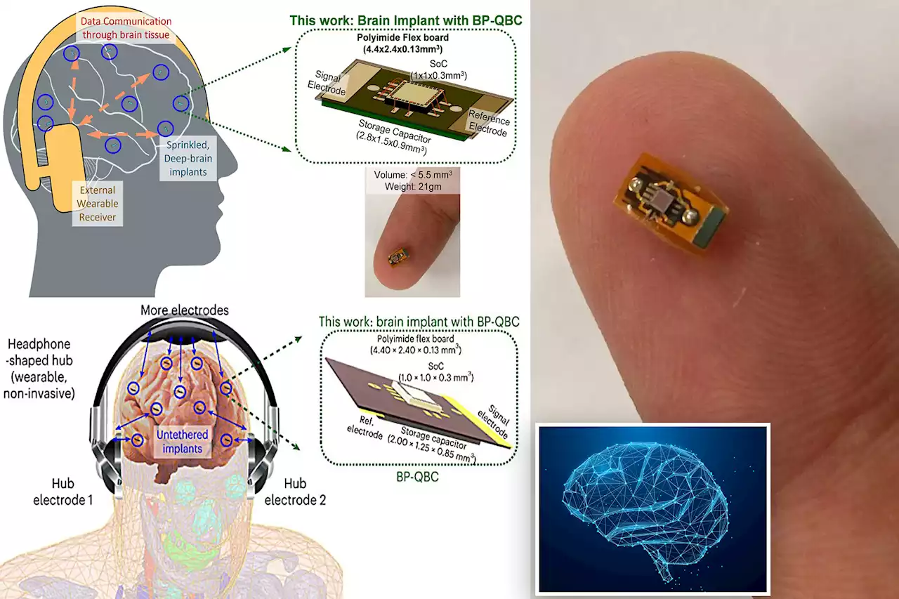 New wireless brain implants could bring mind control to new level: study