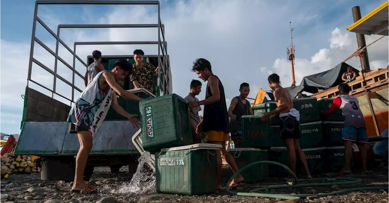 Philippines urges fishermen to keep up presence at China-held shoal