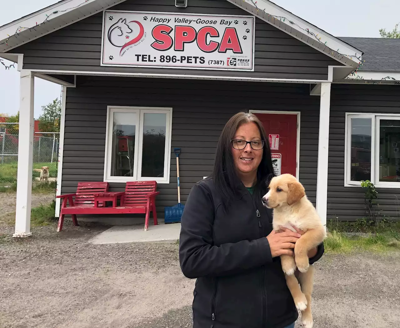 On a short leash: In dire need of additional core funding, Happy Valley-Goose Bay SPCA on the brink of shutdown again