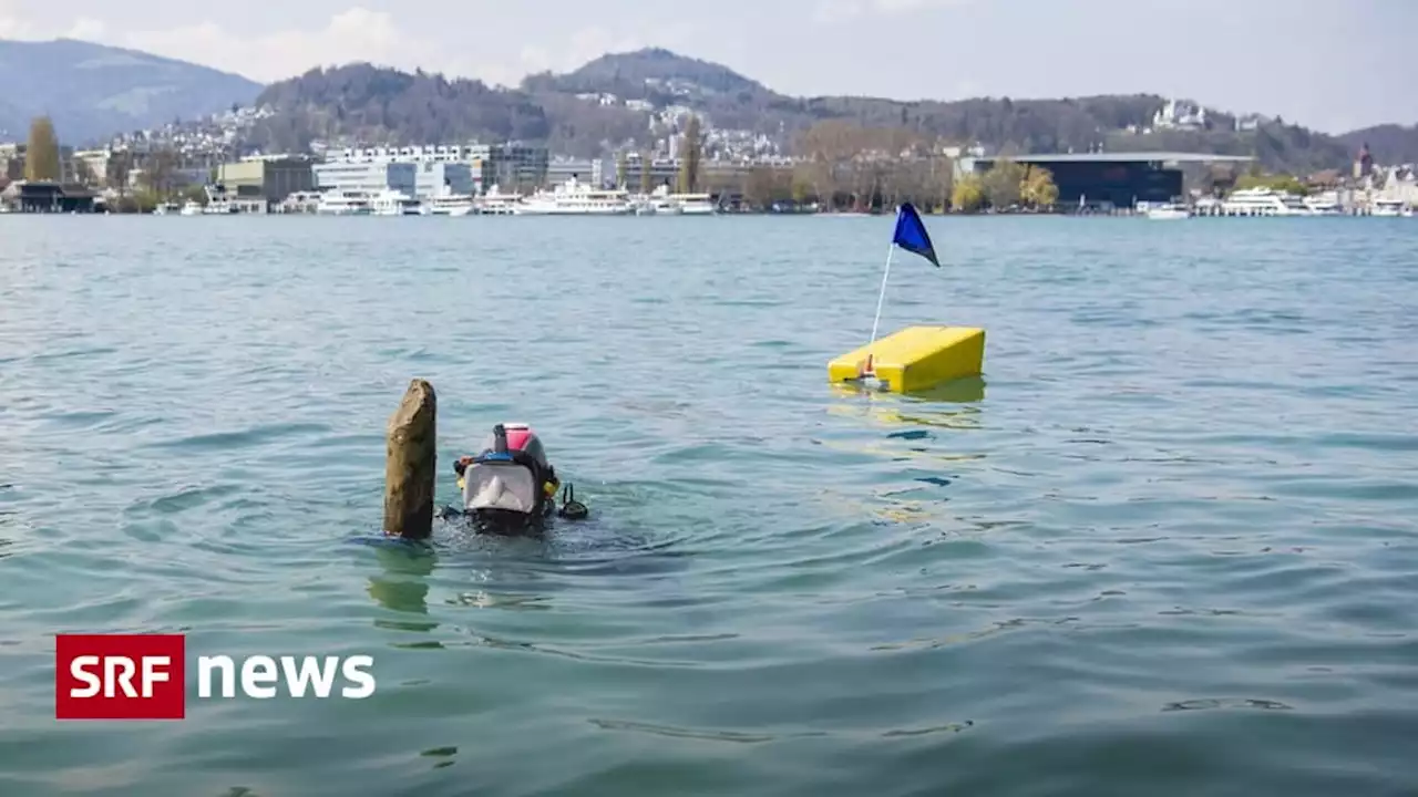 - Stadt Luzern soll 2400 Jahre älter sein als bisher angenommen