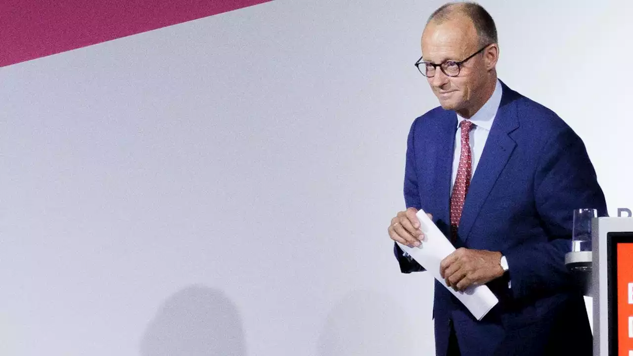 'Die sitzen beim Arzt und lassen sich die Zähne neu machen': Friedrich Merz irritiert mit drastischen Worten über Flüchtende