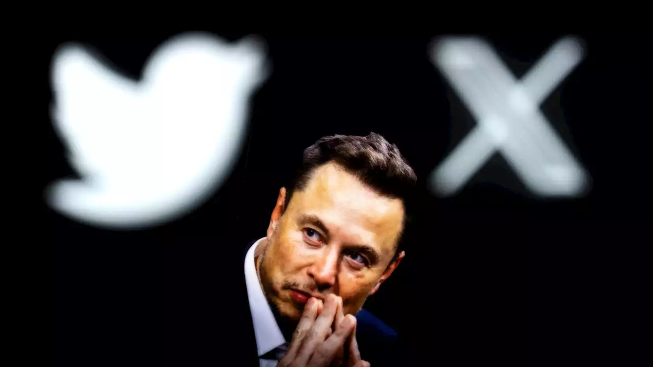 'Krieg der Ideen': Elon Musks Twitter ist die wichtigste Plattform für russische Propaganda und Fakenews