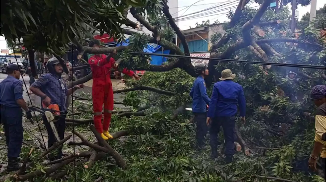 Arti Mimpi Pohon Tumbang Menimpa Rumah: Pesan Agar Sesekali Egois