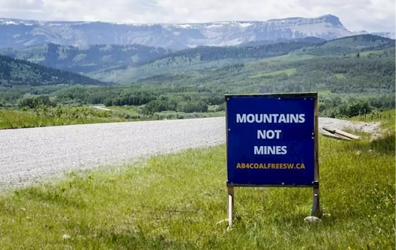 Alberta NDP asks minister to quash application for Rocky Mountain coal mine