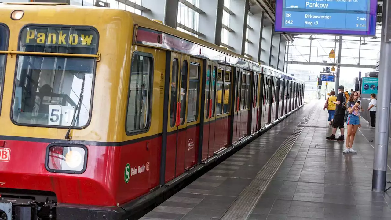 Zug bei Rettung beschädigt: Hund in S-Bahn-Tür eingeklemm