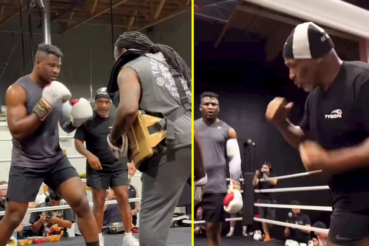 'That's as awful as a jab can be' - Ex-world champion unimpressed by new Francis Ngannou video