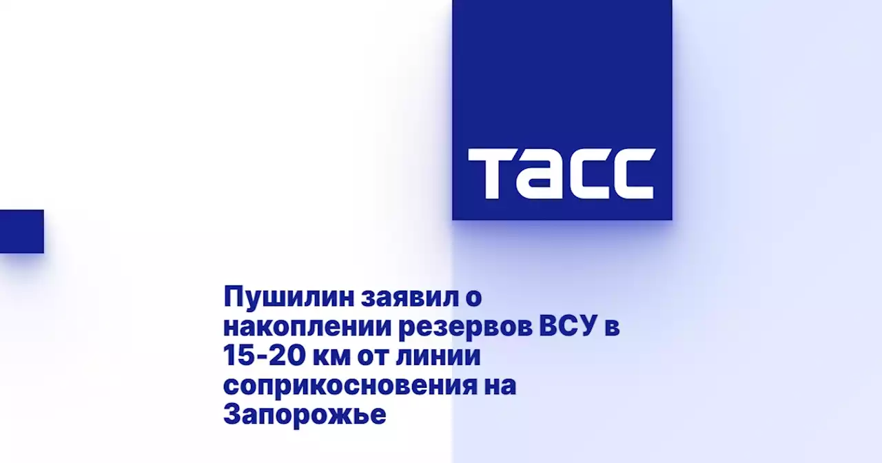 Пушилин заявил о накоплении резервов ВСУ в 15-20 км от линии соприкосновения на Запорожье