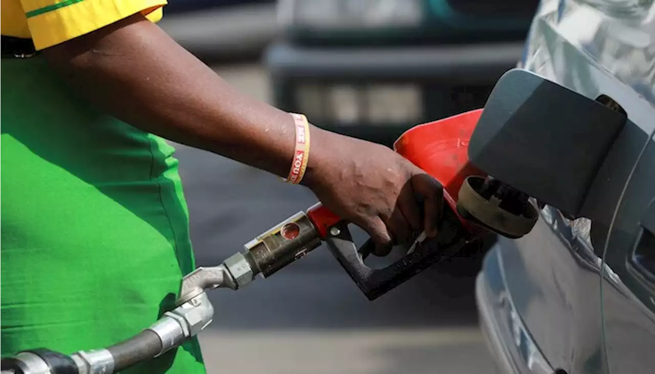 Nigeria unions call strike over fuel subsidy fallout - The Africa Report.com