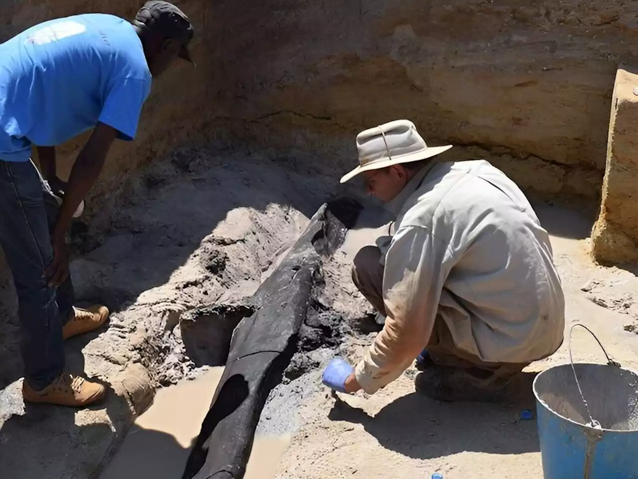 Scientists discover half-a-million-year-old wooden structure