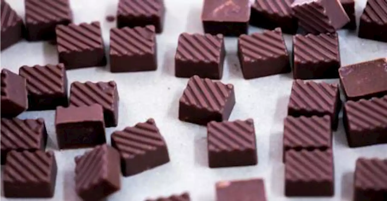 Hershey Canada launches first plant-based chocolate bar in Canada