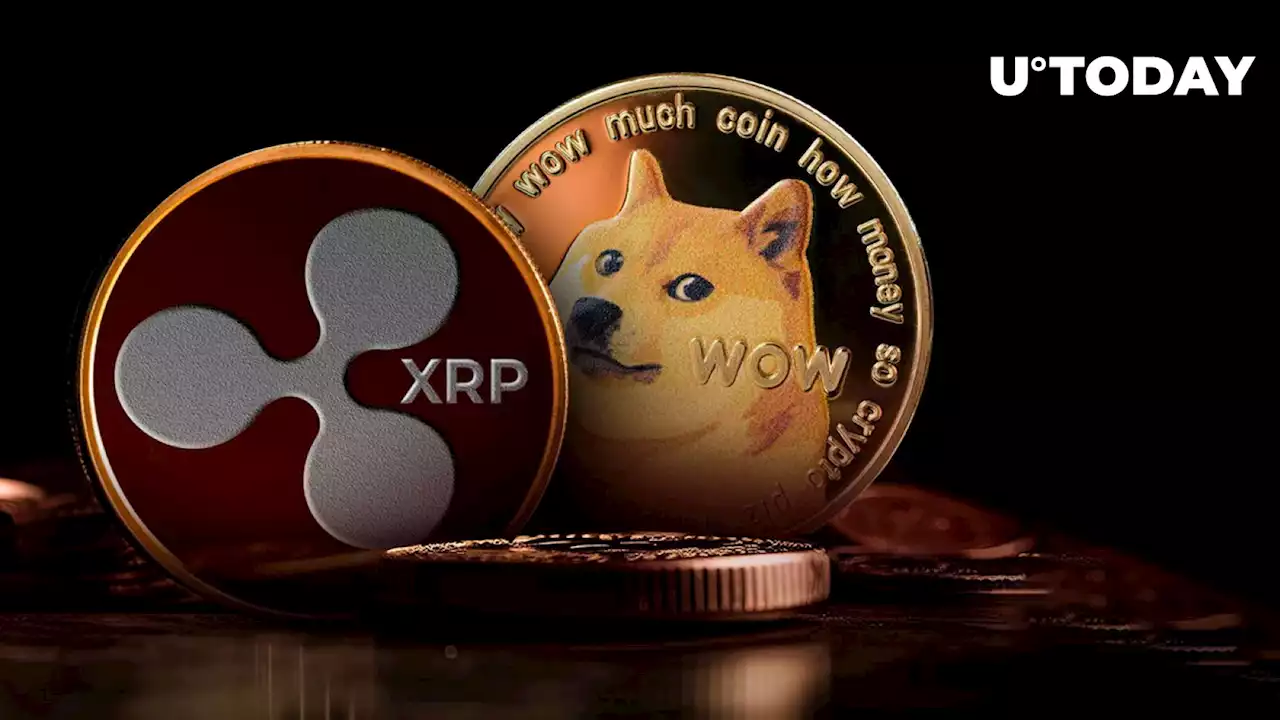 These XRP and Dogecoin (DOGE) Pairs Delisted by Binance Amid Regulatory Firestorm