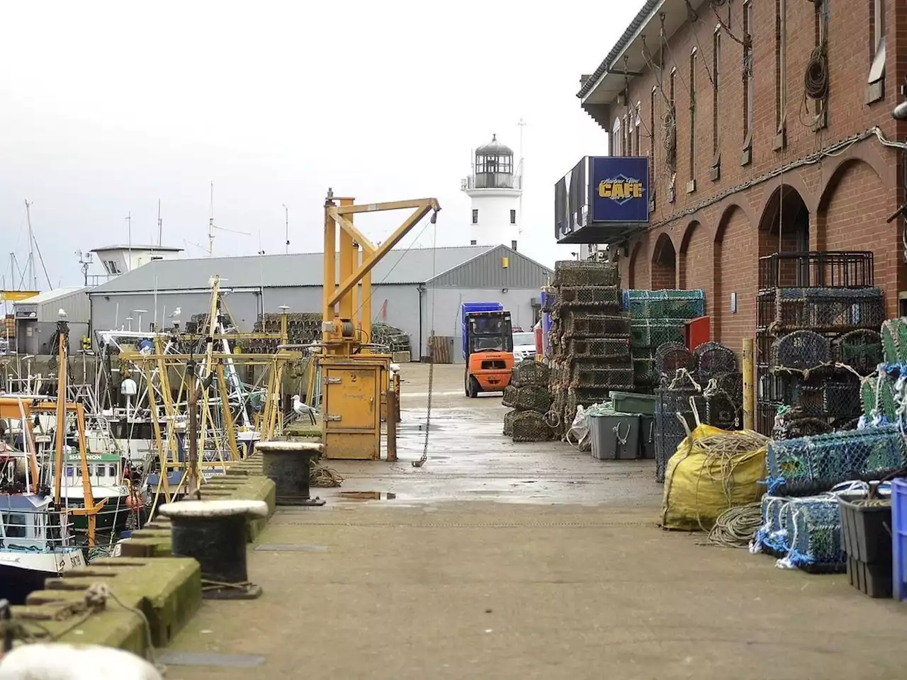 Plans for regeneration of Scarborough Harbour include seafood restaurant, more parking and facilities for fishing fleet