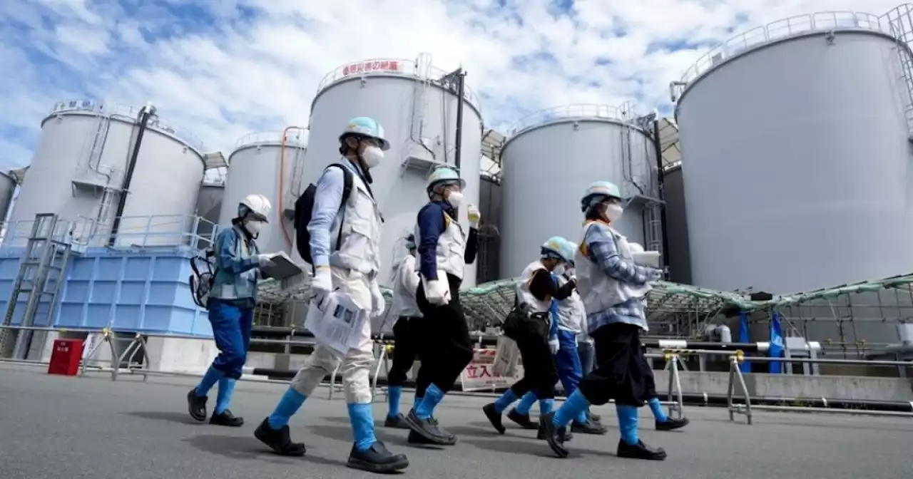 No radioactive substance found in fish after Fukushima water release