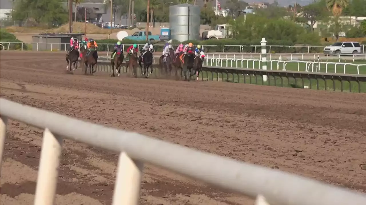 Turf Paradise avoids shutdown with extension to simulcast races for wagering