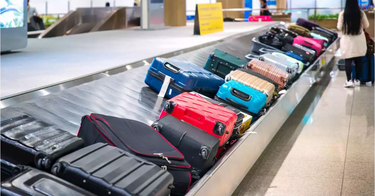 Airline launches in-app baggage tracking for all customers