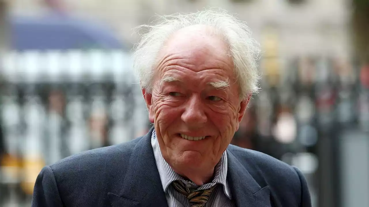 Harry Potter actor who played Dumbledore, Michael Gambon, dies at 82