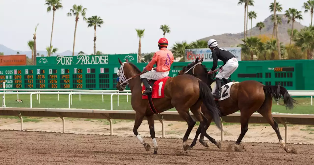 Turf Paradise avoids shutdown with extension from AZ HBPA group